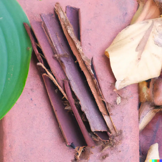 A Journey Through Fragrance Notes and Affordable Dupes