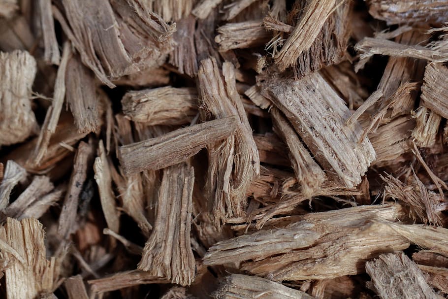 Exploring Oud: The 'Liquid Gold'of Perfumes