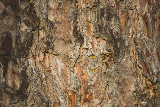 10 Perfumes Similar to Clive Christian X for Men