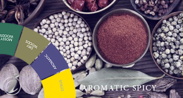 replica similar to 1861 - Naxos by Xerjoff Aromatic Spicy Fragrances clone