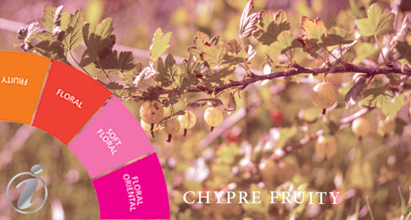 JasmineChypre Fruity Fragranceswith free shipping Fragrenza