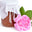 Bulgarian Rose