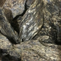 Laotian Oud Fragrances — browse fragrances in this collection
