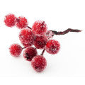 Frosted Berries Fragrances — browse fragrances in this collection