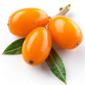 Sea Buckthorn Fragrances — browse fragrances in this collection