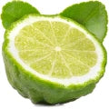 Bergamot Perfumes
