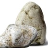 Ambergris note — Ambergris Fragrances