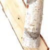 Birch note — Birch Fragrances