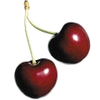 Black Cherry note — Black Cherry Fragrances
