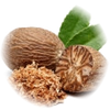 Nutmeg note — Nutmeg Fragrances