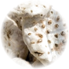 Orris Root note — Orris Root Fragrances