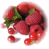 Red Fruits note — Red Fruits Fragrances