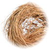 Vetiver note — Vetiver Fragrances