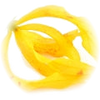 Ylang Ylang note — Ylang-Ylang Fragrances