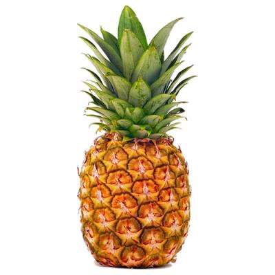 Pineapple in perfumery