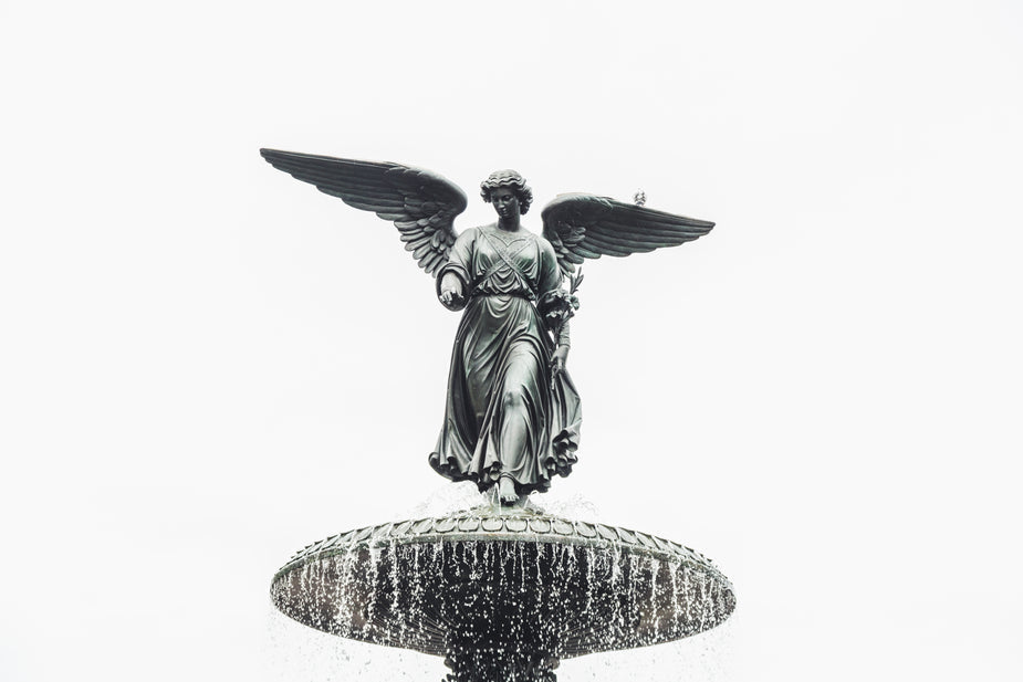Men vs. Women Fragrances: Exploring the Spectrum of Scented Identity — Fragrenza fragrance guide