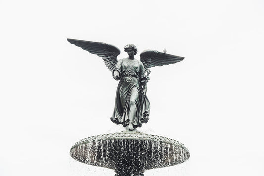 Men vs. Women Fragrances: Exploring the Spectrum of Scented Identity — Fragrenza fragrance guide