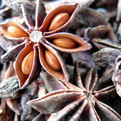 Star anise in perfumery
