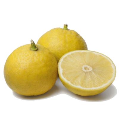 Bergamot in perfumery