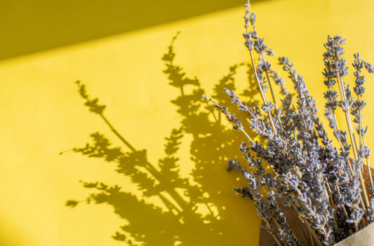 Scent and Sleep: The Effects of Fragrances on Sleep Quality — Fragrenza fragrance guide