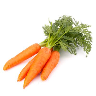 Carrot in perfumery
