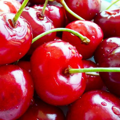 Exploring Cherry Perfumes: A Review of Tempting Scents