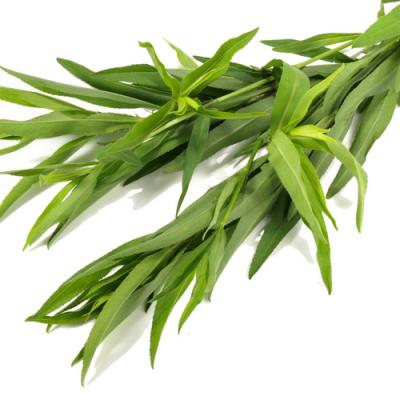 Tarragon in perfumery