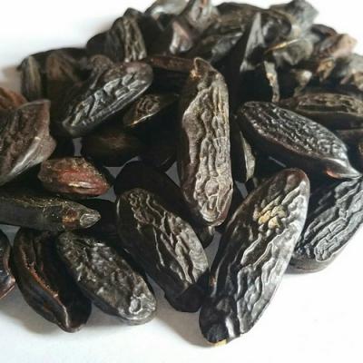 Tonka bean in perfumery