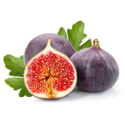 Fig fruit and tree leaves — Fragrenza guide to fig in fine perfumery