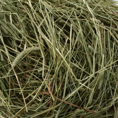 Hay in perfumery