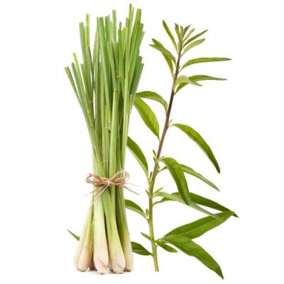 Lemongrass in perfumery