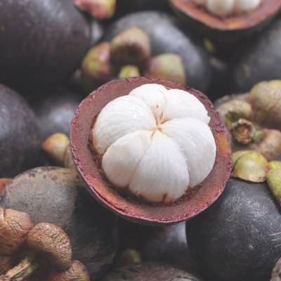 Mangosteen in perfumery