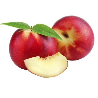 Nectarine in perfumery