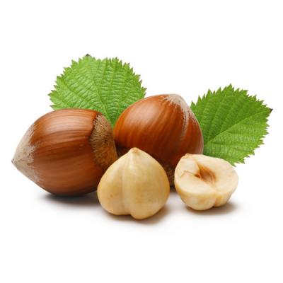 Hazelnut in perfumery