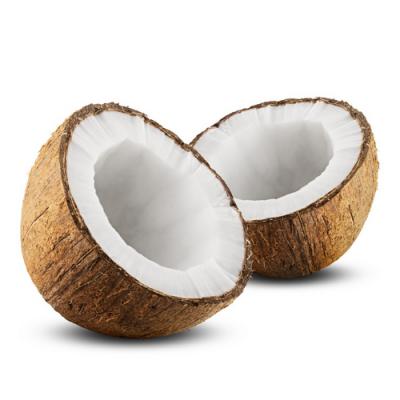 Coconut in perfumery
