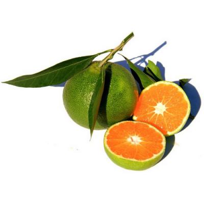 Green Orange in perfumery