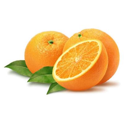 Orange in perfumery