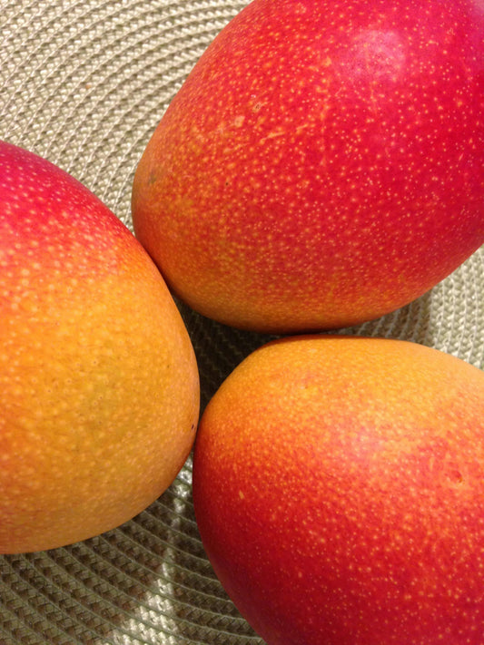 Ripe mangoes bathed in warm golden light, representing the exotic tropical note transforming contemporary fine fragrance