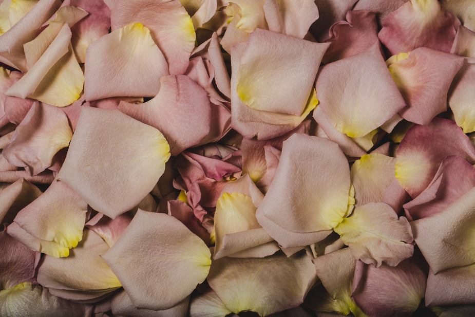 Perfumes Similar to Gris Dior — Fragrenza fragrance guide