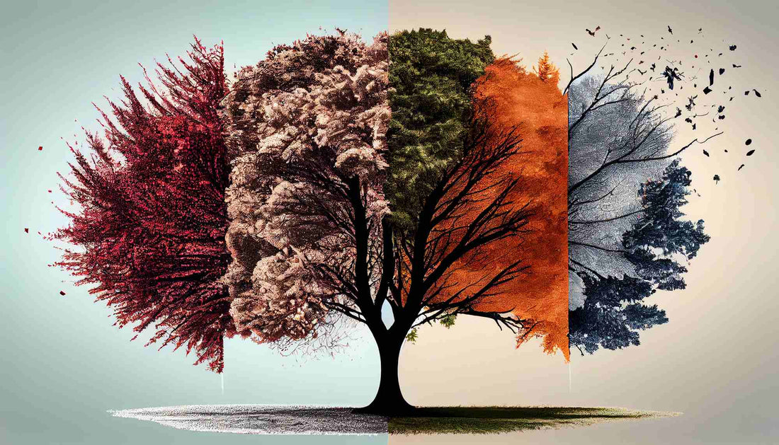 The Impact of Weather on Your Perfume: How Temperature and Humidity Affect Fragrances — Fragrenza fragrance guide