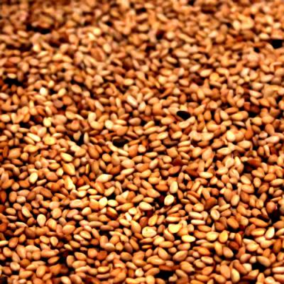 Sesame in perfumery