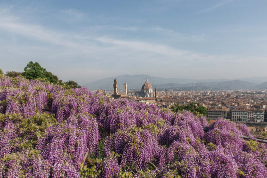 The Renaissance: Europe's Revival of Perfumery