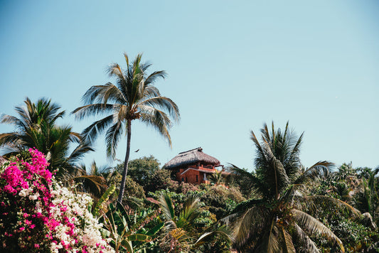 Sol de Janeiro Brazilian Crush Cheirosa 62: Full Review and the Best Fragrance Alternatives — Fragrenza fragrance guide