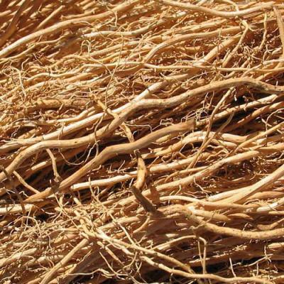 Vetiver in perfumery