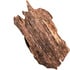 Agarwood Fragrances