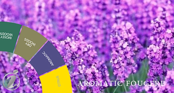 Aromatic Fougere Fragrances