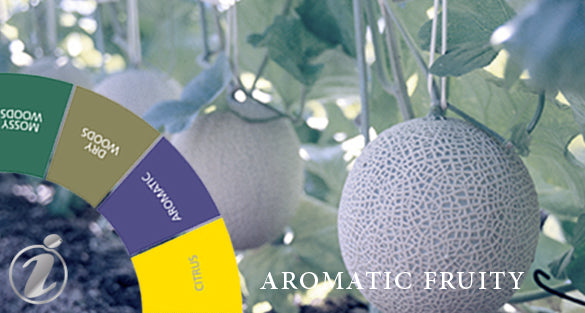 Aromatic Fruity Fragrances