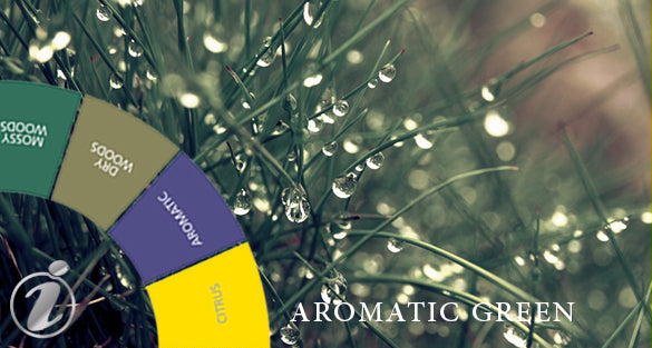 Aromatic Green Fragrances