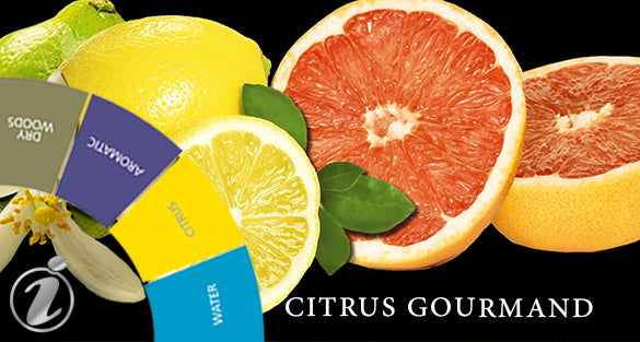Citrus Gourmand Fragrances
