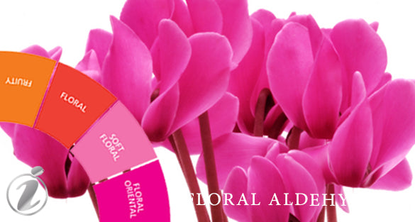 Floral Aldehyde Fragrances - Shop inspired-by fragrances at Fragrenza